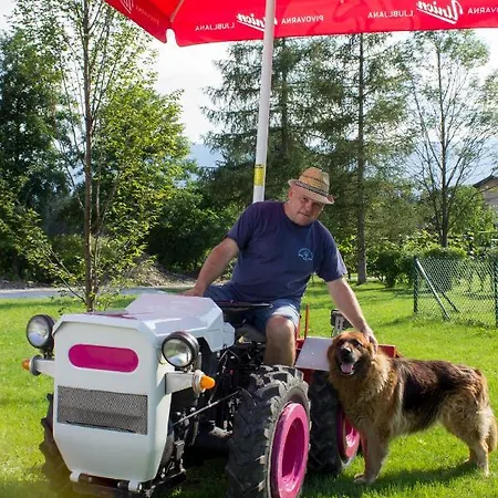 Hanzi Recica ob Savinji