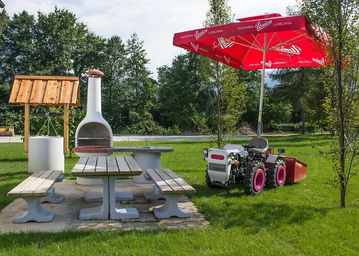 Hanzi Recica ob Savinji